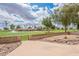 A beautiful backyard that overlooks a green golf course and lake, with trees and open space at 8147 E Lakeview Ave, Mesa, AZ 85209