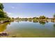 Scenic pond surrounded by lush landscaping, creating a peaceful and natural setting in the community at 9303 E Static Ave, Mesa, AZ 85212