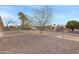 Low-maintenance desert landscape featuring mature trees and gravel ground cover, in the backyard at 9817 W Loma Blanca Dr, Sun City, AZ 85351