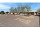 Backyard view featuring desert landscaping, mature trees and multiple homes in the community at 9817 W Loma Blanca Dr, Sun City, AZ 85351