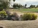 Well-manicured golf course bordered by vibrant desert foliage and cacti at 17200 W Bell Rd # 26, Surprise, AZ 85374