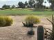 Lush golf course featuring desert landscaping with cactus in the foreground at 17200 W Bell Rd # 26, Surprise, AZ 85374