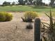 Desert landscaping featuring a variety of cacti and native plants at 17200 W Bell Rd # 26, Surprise, AZ 85374