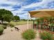 Community playground featuring covered play structure, park bench and a large grassy field at 1865 E Pinto Dr, Gilbert, AZ 85296