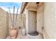 Inviting front entry with a secure door, decorative plants, and minimalist features, creating a welcoming ambiance at 3147 E Michigan Ave, Phoenix, AZ 85032