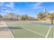 Well-kept basketball court with blue and green court markings in a sunny park setting at 3956 N San Marin Dr, Florence, AZ 85132