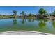 Pond features a bridge, small waterfall, and manicured landscape, enhancing the community's serene and natural environment at 3956 N San Marin Dr, Florence, AZ 85132