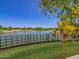 Picturesque pond view with lush green grass, framed by the branches of a tree at 3956 N San Marin Dr, Florence, AZ 85132