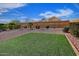 Lush backyard featuring a manicured turfed lawn and an array of greenery and decorative rocks at 4424 N Potomac Dr, Florence, AZ 85132