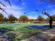 Well-lit basketball court featuring a vibrant green surface with blue accents and a clear blue sky backdrop at 4424 N Potomac Dr, Florence, AZ 85132