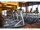 State-of-the-art gym with rows of elliptical machines and large windows overlooking the community at 4424 N Potomac Dr, Florence, AZ 85132