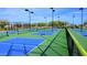 Well-maintained pickleball courts featuring blue and green surfaces and overhead lighting for evening play at 4424 N Potomac Dr, Florence, AZ 85132