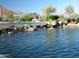 Scenic pond featuring a small waterfall cascading over rocks surrounded by lush greenery and a shade structure at 4424 N Potomac Dr, Florence, AZ 85132