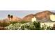 Charming home exterior with tile roof, desert landscaping, and stunning mountain views at 6323 E Gold Dust Ave, Paradise Valley, AZ 85253