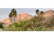 Picturesque mountain view framed by palm trees and desert foliage, creating a serene vista at 6323 E Gold Dust Ave, Paradise Valley, AZ 85253