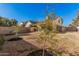 The backyard features trees, foliage, a covered patio and privacy wall at 6405 W Saguaro Dr, Glendale, AZ 85304