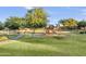 A playground with a slide and grassy area, with mature trees, provides recreational options for the community at 8434 E Natal Cir, Mesa, AZ 85209