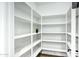 Bright pantry with ample shelving for optimal organization and a clean, modern aesthetic at 123 W Sweet Shrub Ave, San Tan Valley, AZ 85140