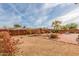 Spacious backyard featuring manicured landscaping, a decorative brick patio, and a secure perimeter fence at 13019 N 98Th Ave, Sun City, AZ 85351