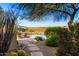 Beautiful pool area surrounded by lush desert landscaping and scenic mountain views at 15501 E Tepee Dr, Fountain Hills, AZ 85268