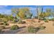 Community entrance sign amidst desert landscaping with mature cacti and trees at 22317 N 39Th Run, Phoenix, AZ 85050