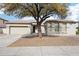 Single-story home with a two-car garage, neutral stucco, tile roof, and mature shade tree at 2520 W Minton St, Phoenix, AZ 85041