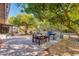 Backyard with a patio, outdoor grill, citrus trees and string lights at 3237 E Meadowbrook Ave, Phoenix, AZ 85018