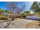 A well-maintained front yard with mature trees, lush landscaping, and a long driveway leading to the house at 3237 E Meadowbrook Ave, Phoenix, AZ 85018