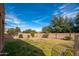 Spacious backyard with grass, trees, and a privacy fence at 4485 N 152Nd Dr, Goodyear, AZ 85395