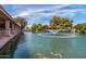 Picturesque community pond with a central fountain, bridge, and colorful koi fish swimming below at 628 Leisure World --, Mesa, AZ 85206