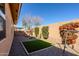 Backyard features synthetic grass, cactus, gravel, mature landscaping, and privacy wall at 11258 E Ocaso Ave, Mesa, AZ 85212