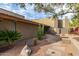 Landscaped front yard with mature cactus and decorative stone walkway to the front door at 122 E Loma Vista Dr, Tempe, AZ 85282