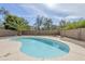 Gorgeous backyard pool surrounded by lush, mature desert landscaping at 1881 E Erie St, Chandler, AZ 85225