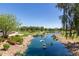 Lush view of a pond surrounded by trees and shrubbery, perfect for a relaxing view at 20670 N Confetti Ct, Maricopa, AZ 85138