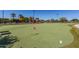 View of the putting green featuring various holes and a grass surface, surrounded by palm trees and shrubbery at 20670 N Confetti Ct, Maricopa, AZ 85138