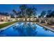 Stunning pool with a large tree in the background reflecting on the water at twilight at 22619 N La Senda Dr, Scottsdale, AZ 85255