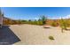 Backyard features gravel landscaping, mature trees, and a perimeter privacy wall at 27366 W Escuda Dr, Buckeye, AZ 85396