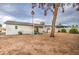 Spacious backyard with mature trees, providing shade and character to the home's outdoor space at 3915 E Hillery Dr, Phoenix, AZ 85032