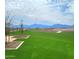 Expansive green space featuring green grass, small trees, plants, and a view of the mountains in the background at 4939 S 105Th Dr, Tolleson, AZ 85353