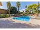 Community swimming pool with palm trees and umbrellas for tenant enjoyment at 6125 E Indian School Rd # 228, Scottsdale, AZ 85251