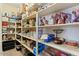 Walk-in pantry features fully stocked shelves and organized storage at 10906 E Thornton E Ave, Mesa, AZ 85212