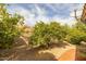 Backyard featuring low maintenance desert landscaping with fruit trees and privacy wall at 13220 N 99Th Pl, Scottsdale, AZ 85260