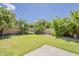 Spacious backyard featuring lush green grass, mature trees, and a paved patio, ideal for outdoor enjoyment at 1737 E Azalea Dr, Gilbert, AZ 85298