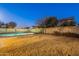 A spacious backyard features a private pool, mature trees, and a secure fence at 1737 E Azalea Dr, Gilbert, AZ 85298