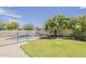 Backyard fenced pool with well-maintained grass and landscaping is perfect for enjoying the summer at 1737 E Azalea Dr, Gilbert, AZ 85298