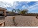 Large backyard with rock throughout and a variety of greenery and trees at 18644 N Desert Willow Dr, Maricopa, AZ 85138