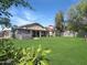Lush backyard with mature trees, well-maintained grass, a private hot tub, and a covered patio at 3765 E Del Rio St, Gilbert, AZ 85295