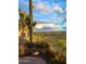 Desert backyard featuring a tall cactus, iron fence, vibrant red flowers, and scenic views of the valley at 6230 S Mesa Vista Dr, Gold Canyon, AZ 85118