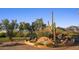 Gold Canyon Golf Resort entrance sign with saguaro cacti and desert landscaping at 6230 S Mesa Vista Dr, Gold Canyon, AZ 85118