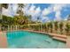 Sparkling pool with inviting steps, surrounded by lush greenery and mature palm trees at 7721 N Via De La Montana --, Scottsdale, AZ 85258